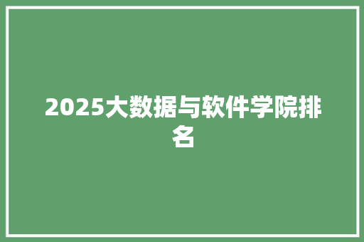 2025大数据与软件学院排名 未命名