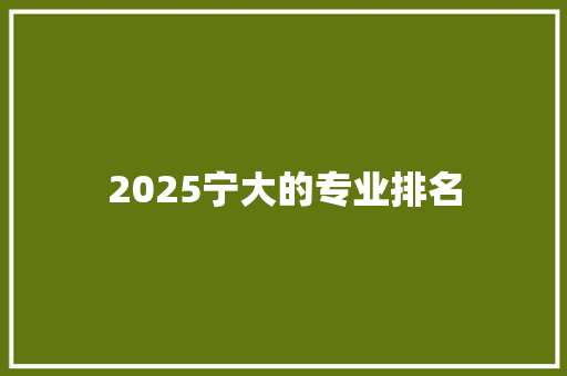 2025宁大的专业排名