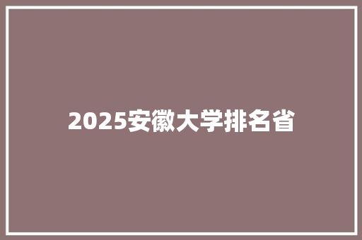 2025安徽大学排名省