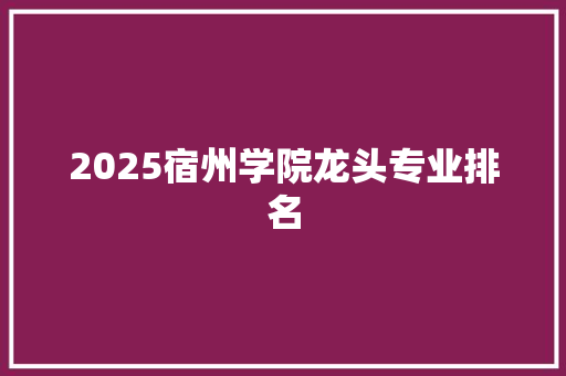 2025宿州学院龙头专业排名 未命名