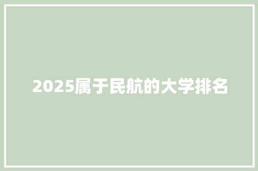 2025属于民航的大学排名