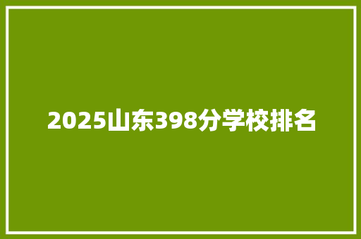 2025山东398分学校排名