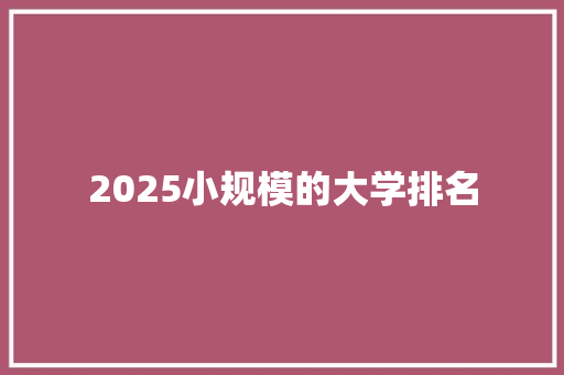 2025小规模的大学排名 未命名