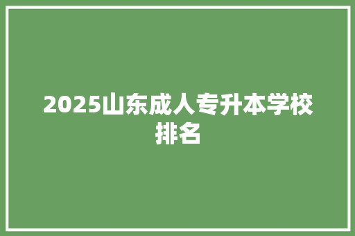 2025山东成人专升本学校排名 未命名