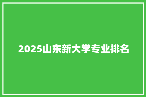 2025山东新大学专业排名