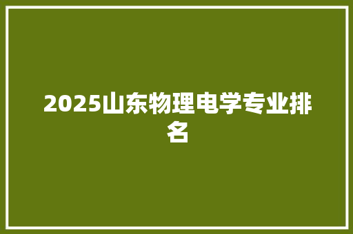 2025山东物理电学专业排名