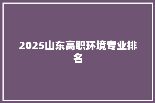 2025山东高职环境专业排名