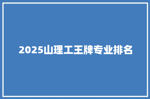 2025山理工王牌专业排名