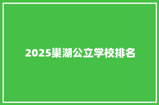 2025巢湖公立学校排名