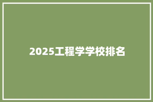 2025工程学学校排名 未命名