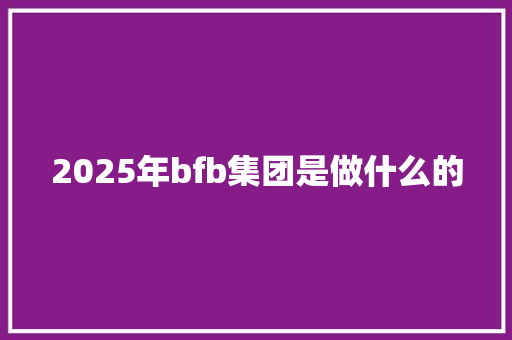 2025年bfb集团是做什么的