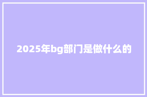 2025年bg部门是做什么的