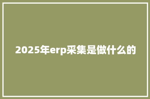 2025年erp采集是做什么的