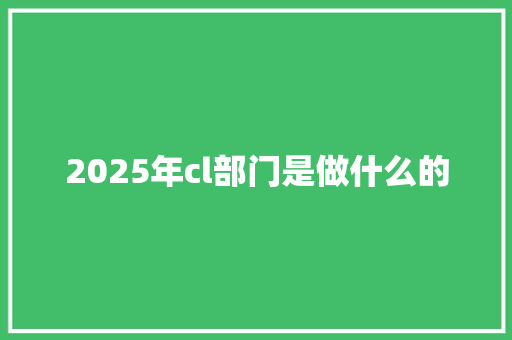 2025年cl部门是做什么的