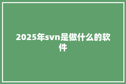 2025年svn是做什么的软件