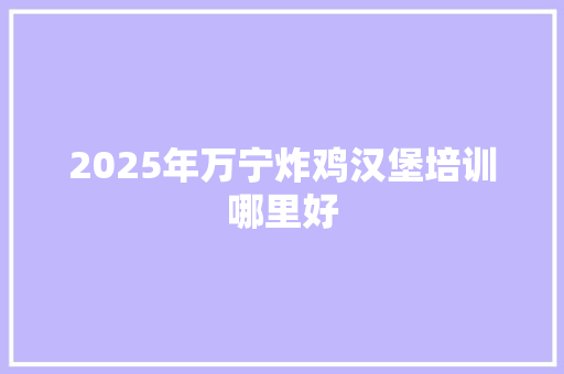 2025年万宁炸鸡汉堡培训哪里好