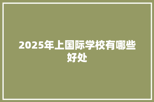 2025年上国际学校有哪些好处