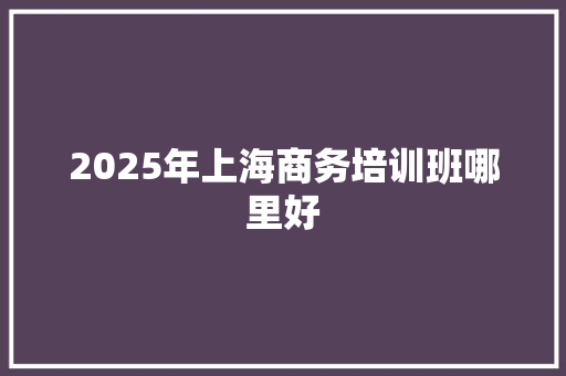 2025年上海商务培训班哪里好