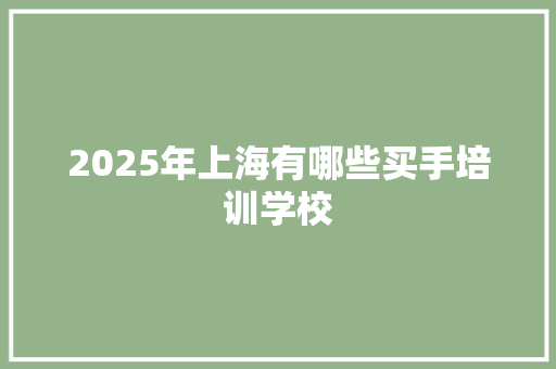 2025年上海有哪些买手培训学校