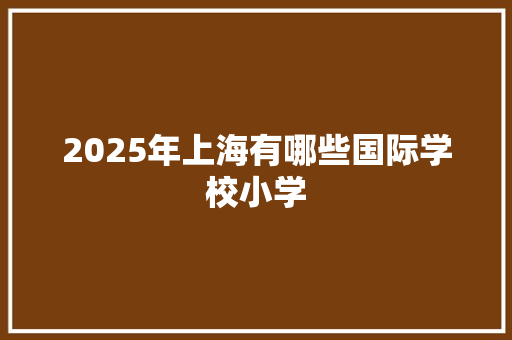 2025年上海有哪些国际学校小学