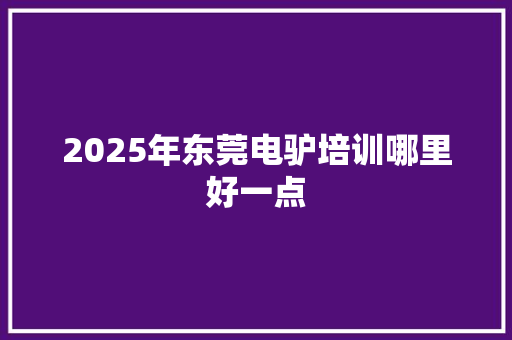 2025年东莞电驴培训哪里好一点 未命名