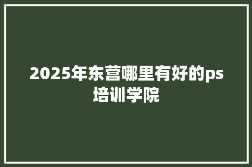 2025年东营哪里有好的ps培训学院