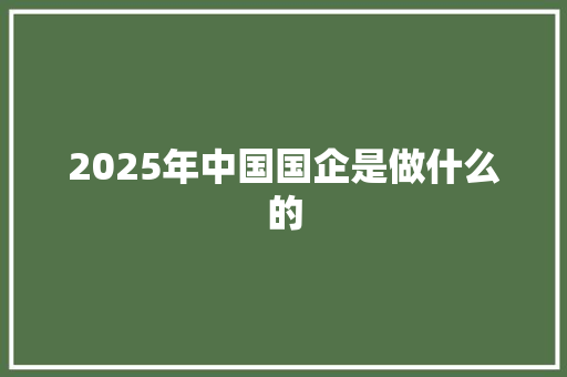 2025年中国国企是做什么的