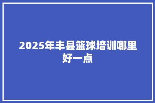 2025年丰县篮球培训哪里好一点