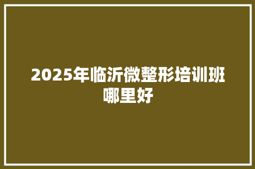 2025年临沂微整形培训班哪里好