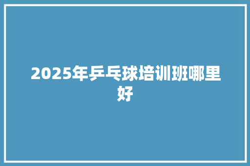 2025年乒乓球培训班哪里好