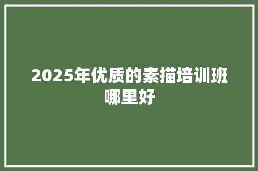 2025年优质的素描培训班哪里好