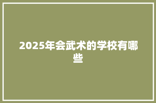 2025年会武术的学校有哪些 未命名