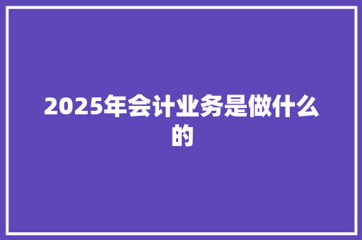 2025年会计业务是做什么的 未命名