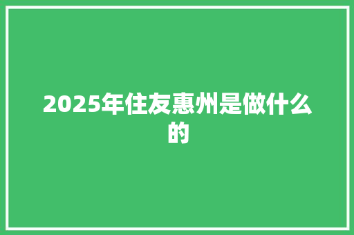 2025年住友惠州是做什么的