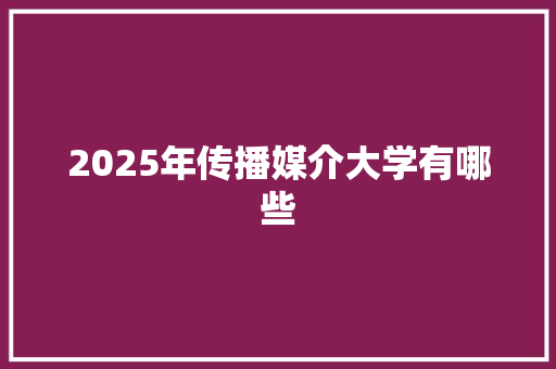 2025年传播媒介大学有哪些