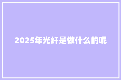 2025年光纤是做什么的呢