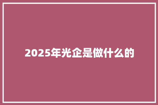 2025年光企是做什么的