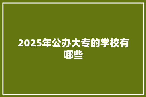 2025年公办大专的学校有哪些