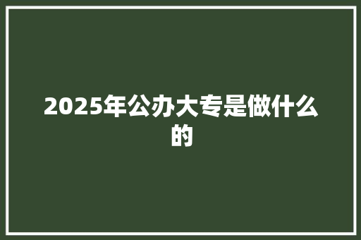 2025年公办大专是做什么的 未命名