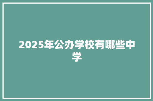 2025年公办学校有哪些中学