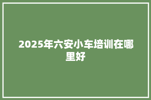 2025年六安小车培训在哪里好 未命名