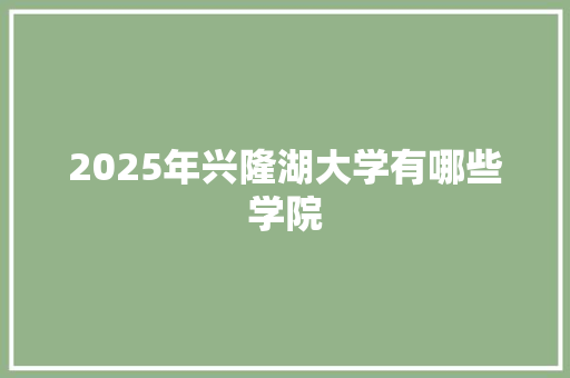 2025年兴隆湖大学有哪些学院