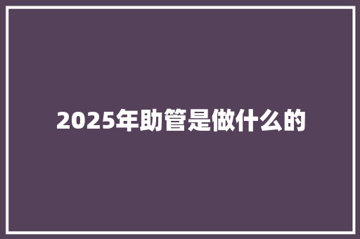 2025年助管是做什么的