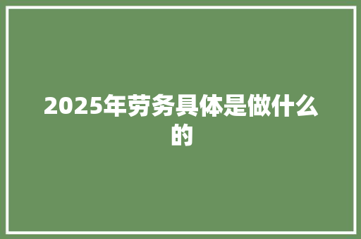 2025年劳务具体是做什么的