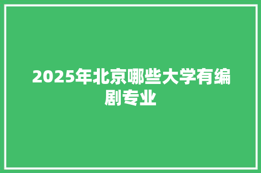 2025年北京哪些大学有编剧专业