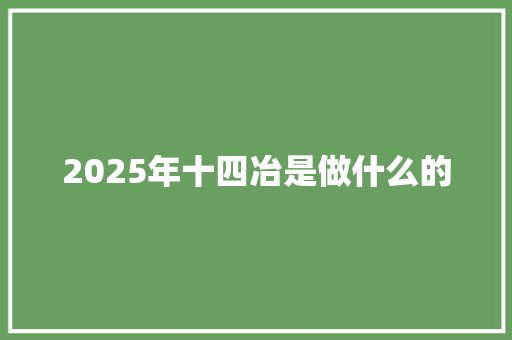 2025年十四冶是做什么的