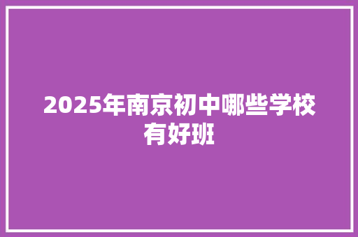 2025年南京初中哪些学校有好班 未命名