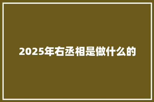 2025年右丞相是做什么的