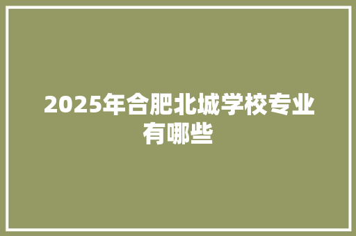 2025年合肥北城学校专业有哪些 未命名