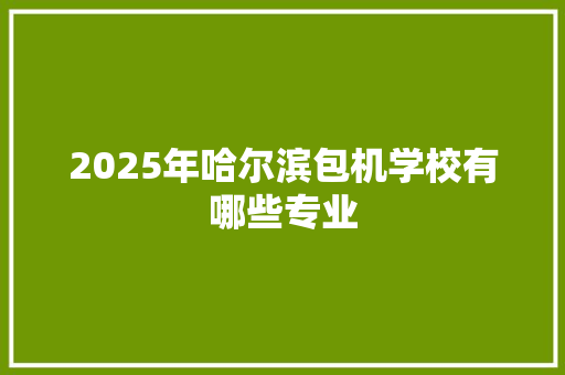 2025年哈尔滨包机学校有哪些专业